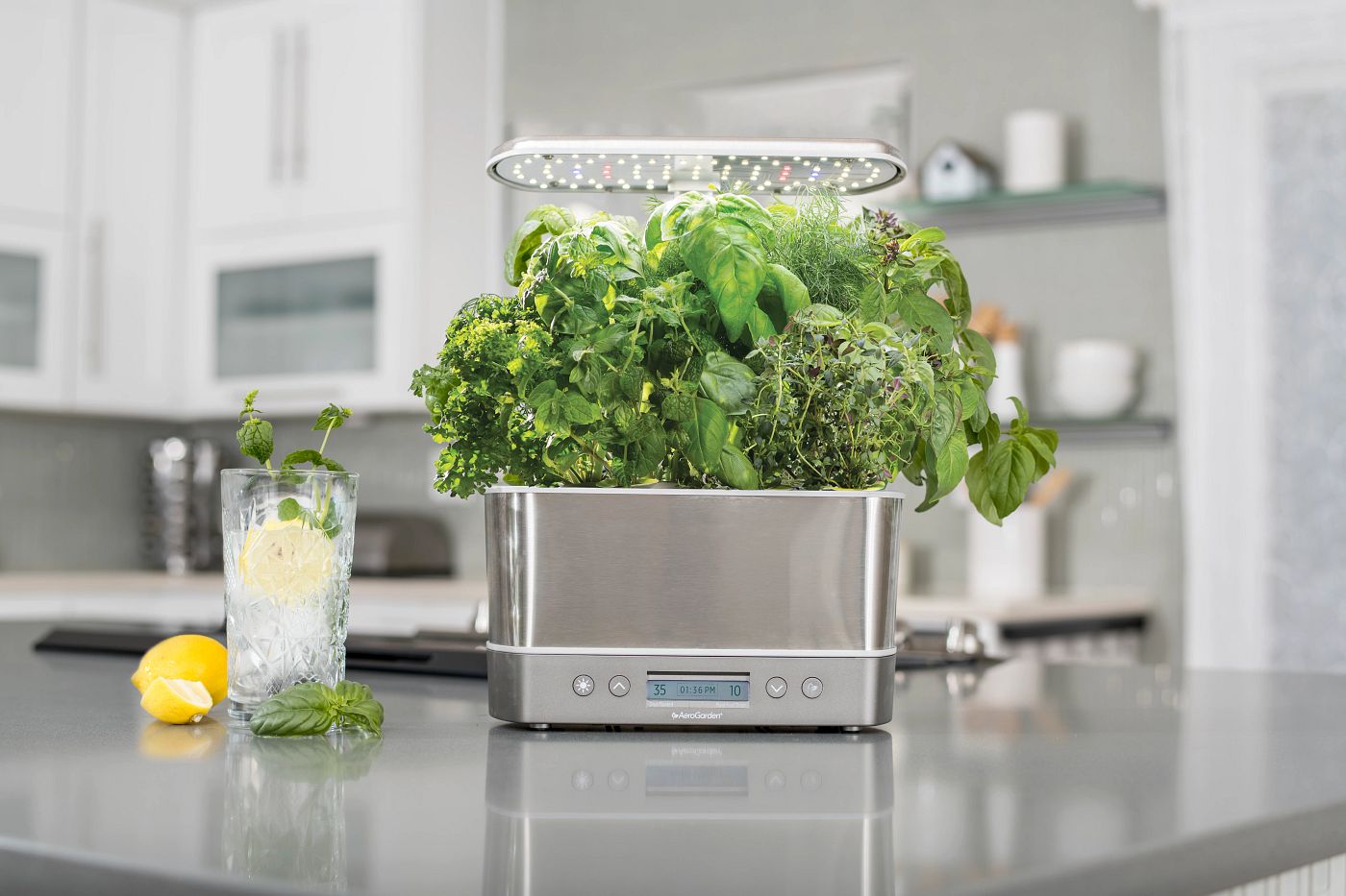 AeroGarden Harvest Elite with gourmet herbs growing