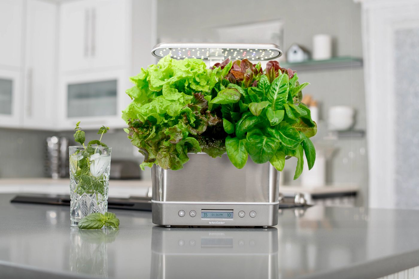 Leafy Greens Indoors: Everyday Benefits of Lettuce, Kale, and Arugula