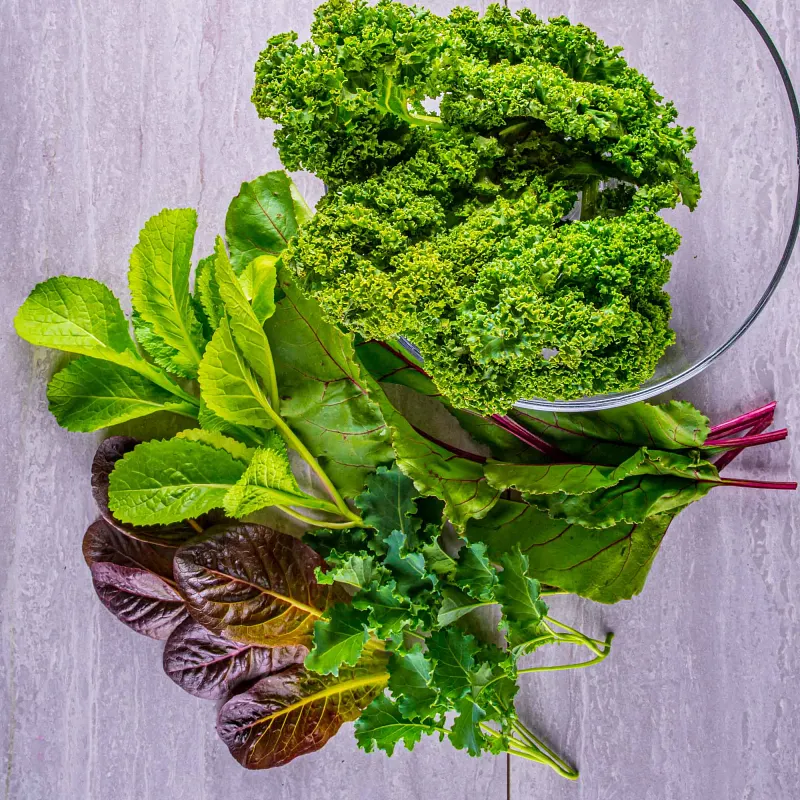 AeroGarden Mixed Kale Seed Pod Kit package