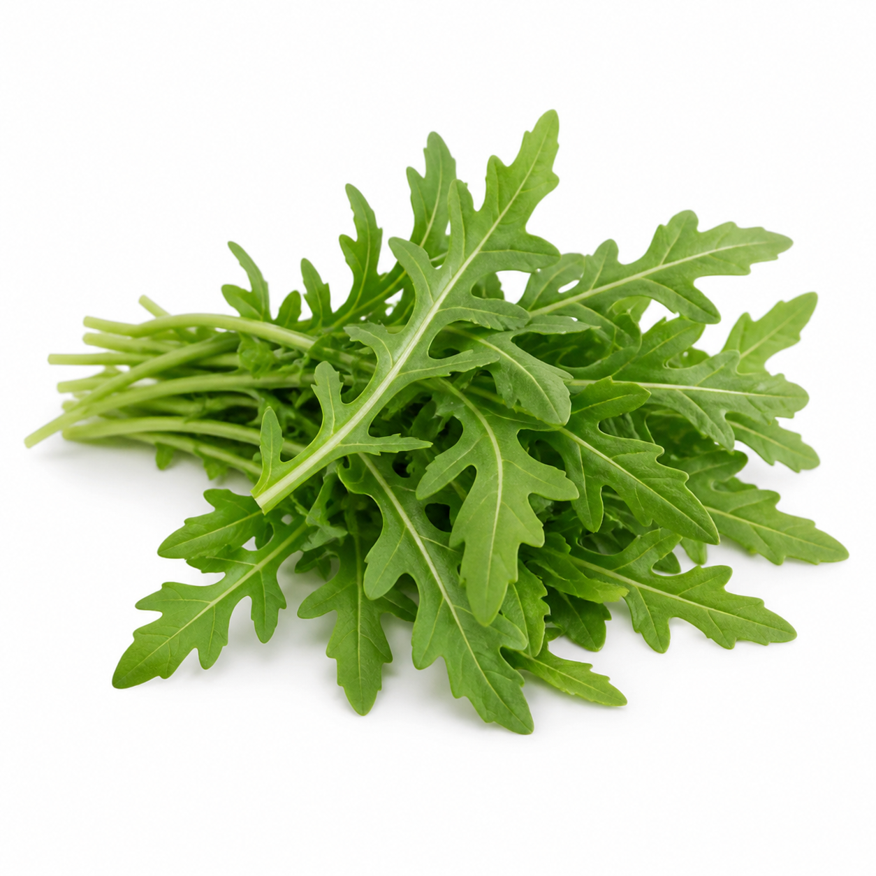 Arugula