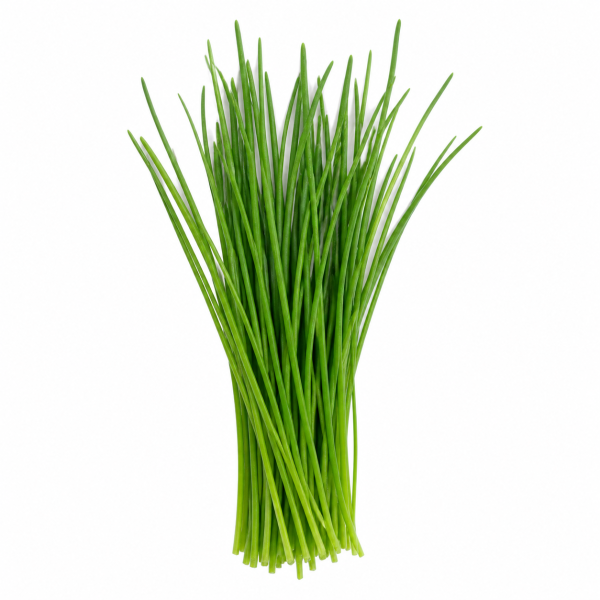 Chives