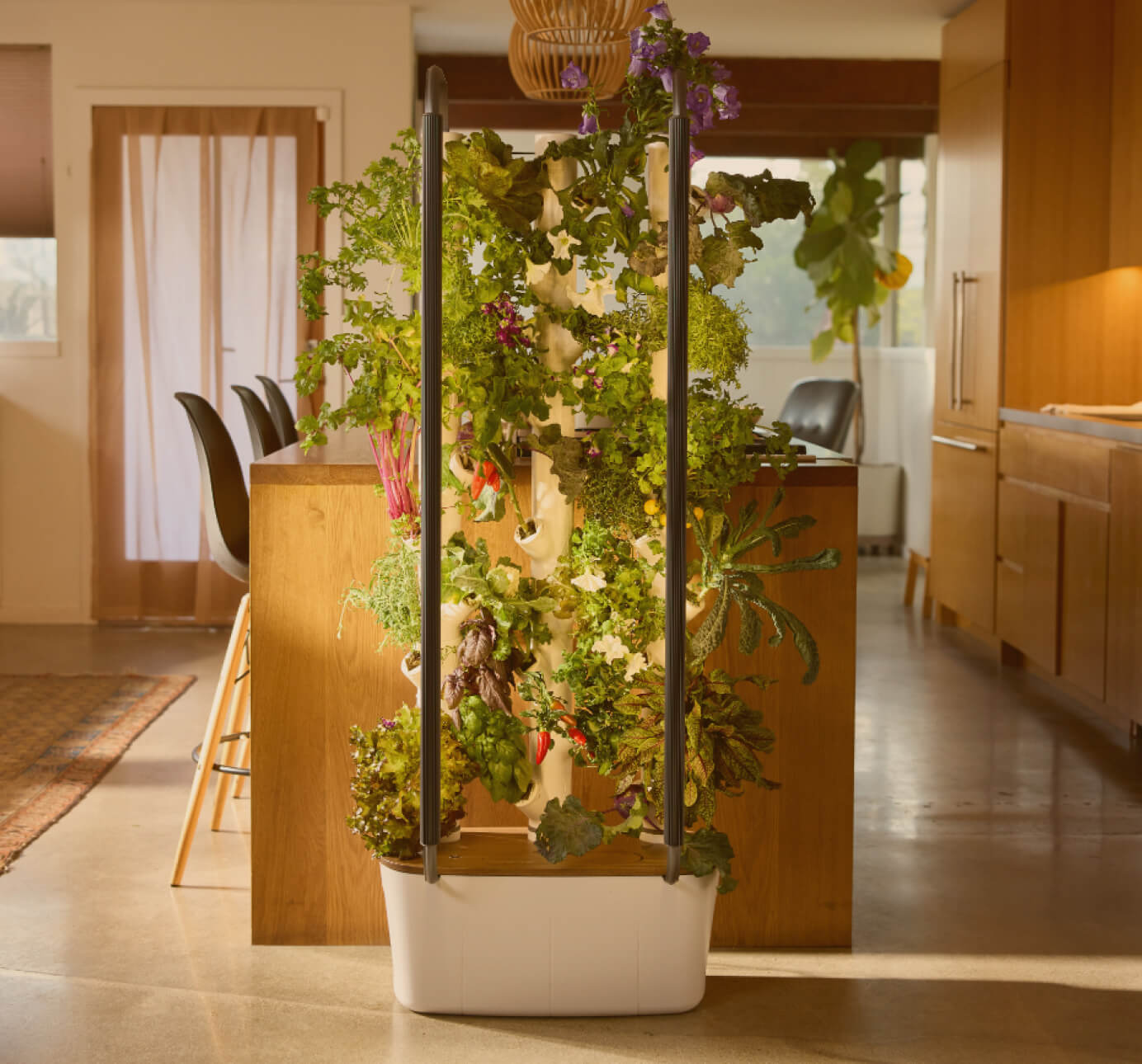 Gardyn Home 4.0 with mature indoor plants ready to harvest