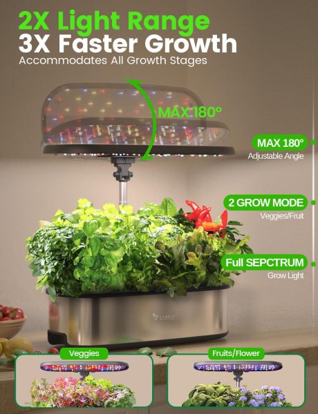 Set baskets, sponges, and seeds
