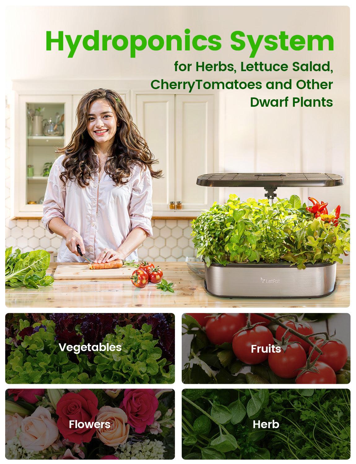 LetPot LPH-SE growing herbs vegetables fruits and flowers indoors