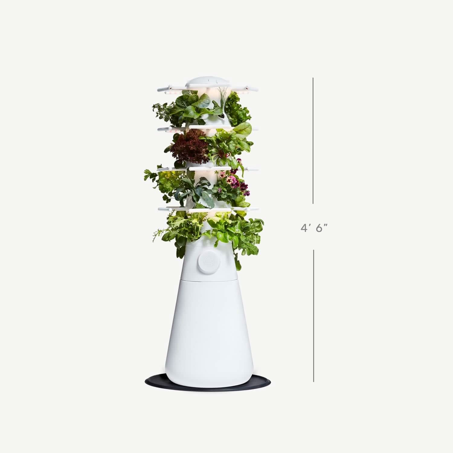 Lettuce Grow Farmstand Nook dimensions image