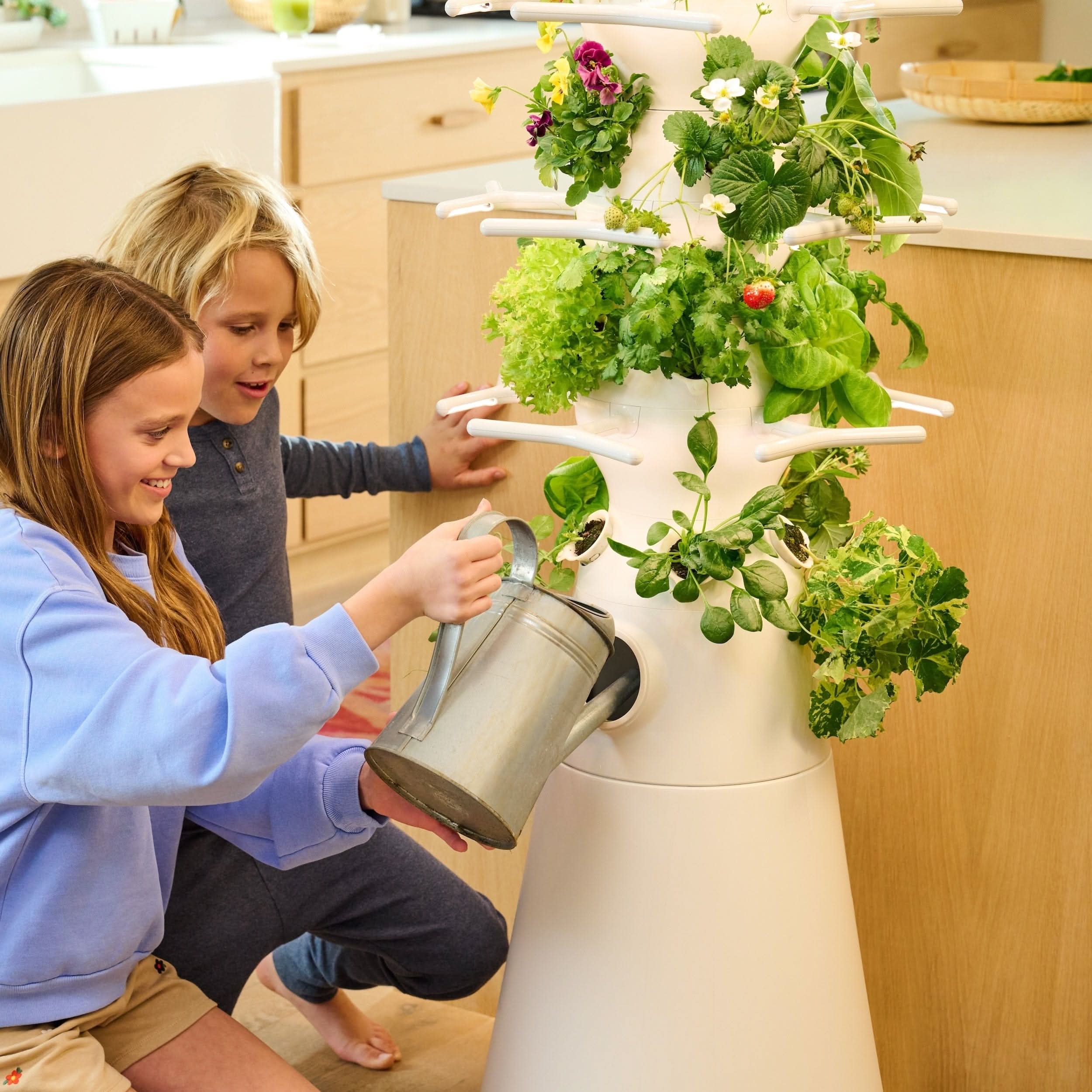 Lettuce Grow Farmstand Nook in a home interior
