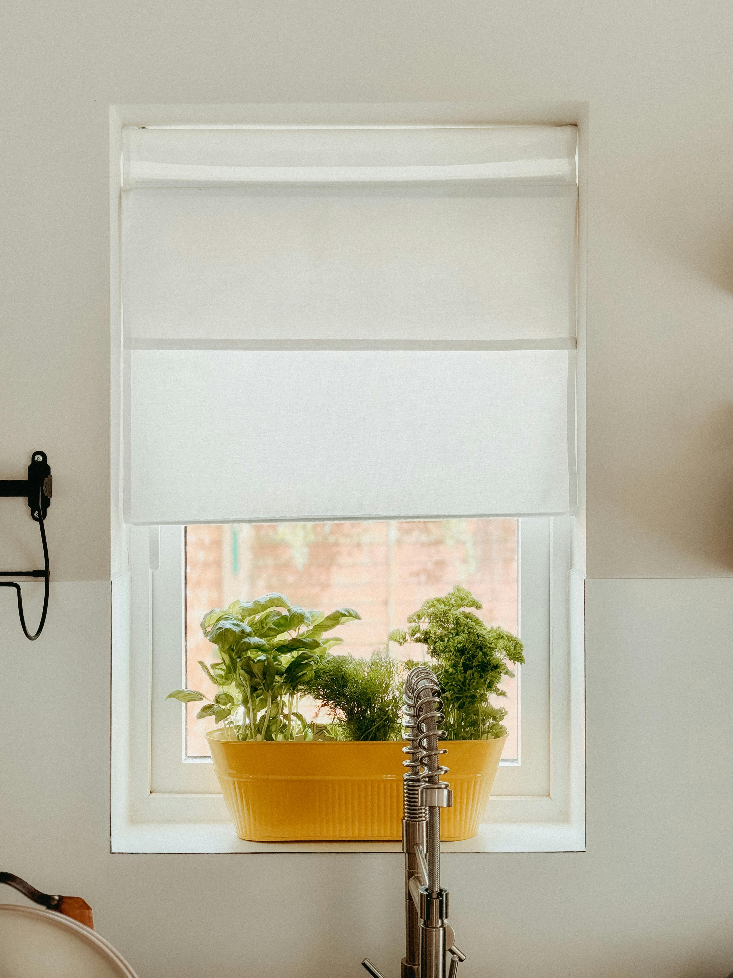 Indoor Smart Gardens for Beginners: What to Grow First and Which System Fits Your Kitchen