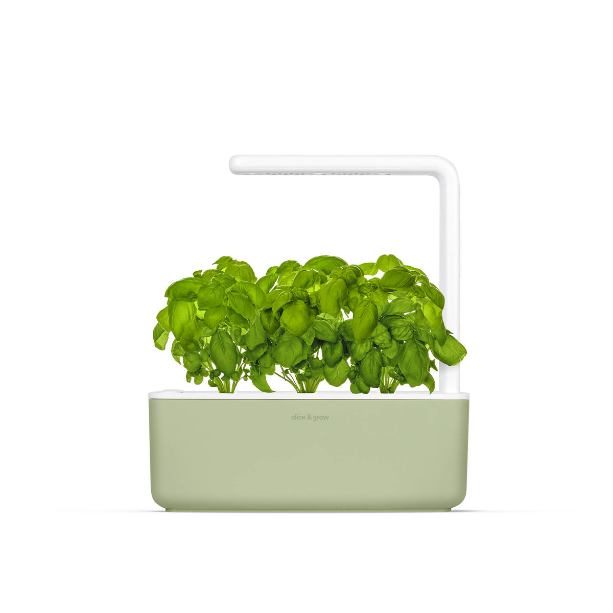 Click and Grow Smart Garden 3 in sage finish with basil growing