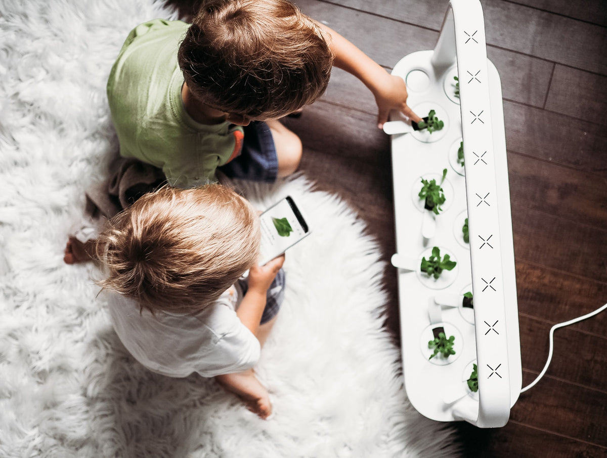 Children looking at plants growing in a Click and Grow Smart Garden 9