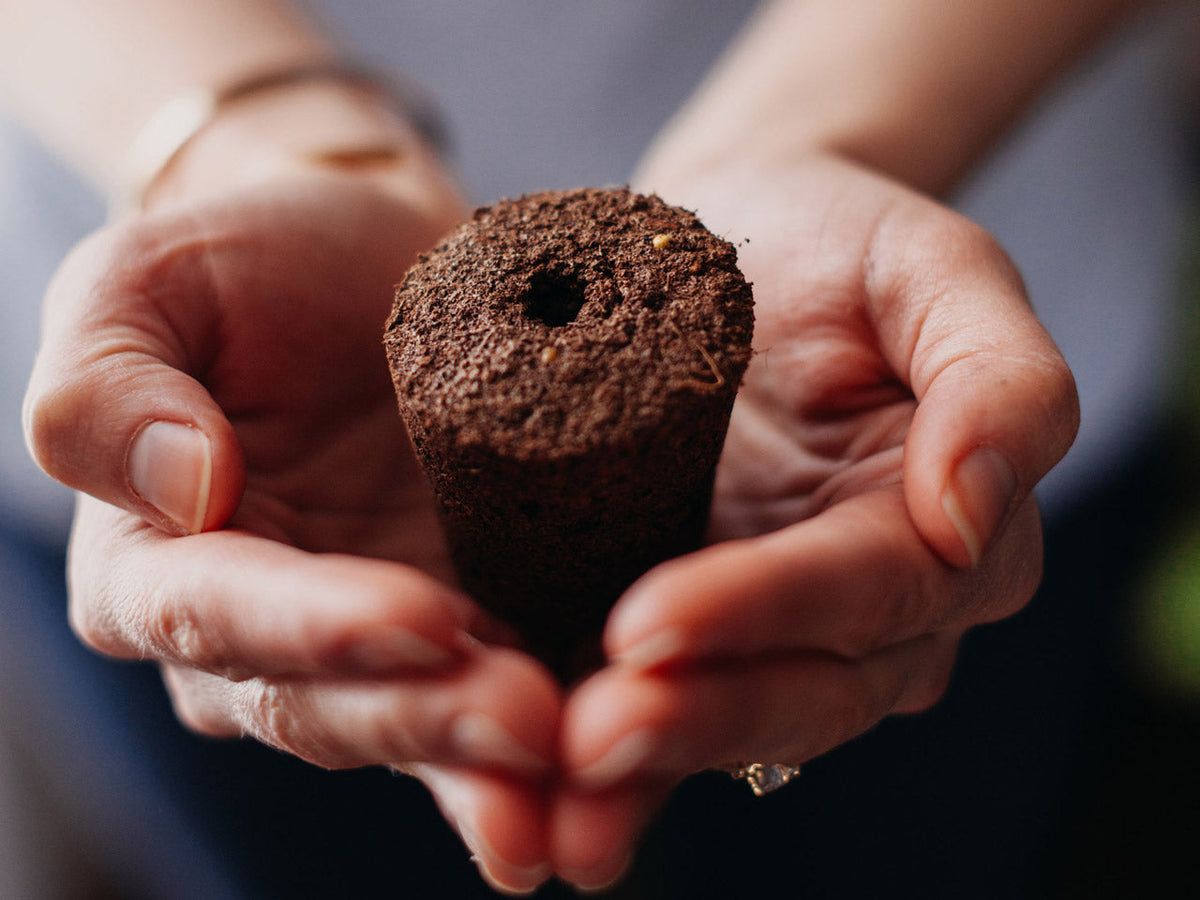 Insert plant pods by shelf