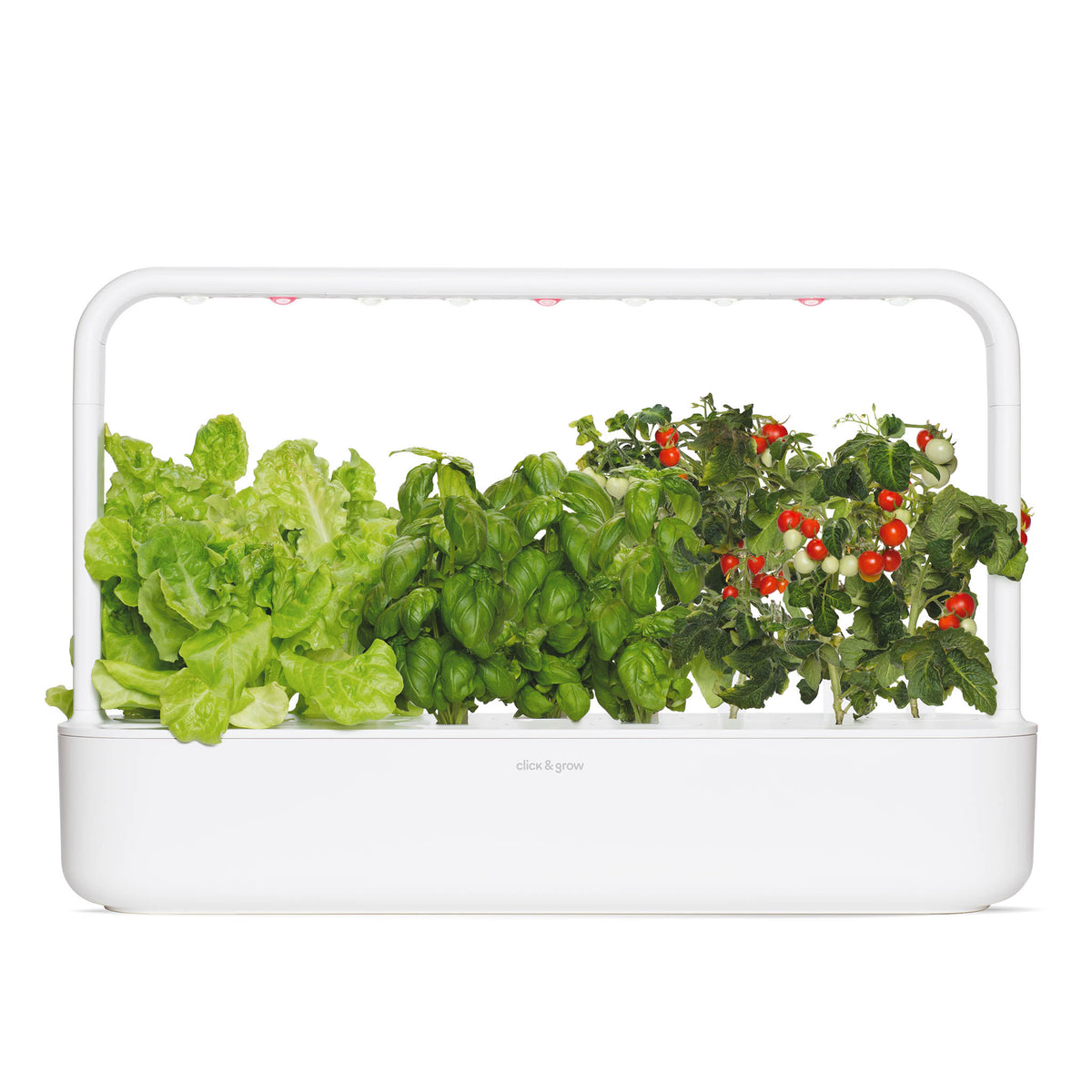 How to Choose the Right Size Indoor Smart Garden for Your Kitchen