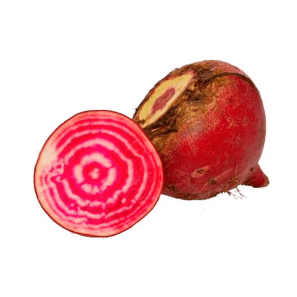 Chioggia Beet