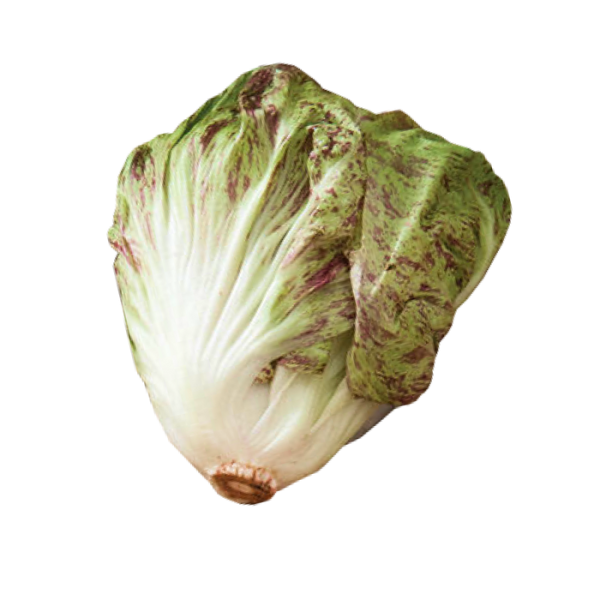 Bel Fiore Radicchio