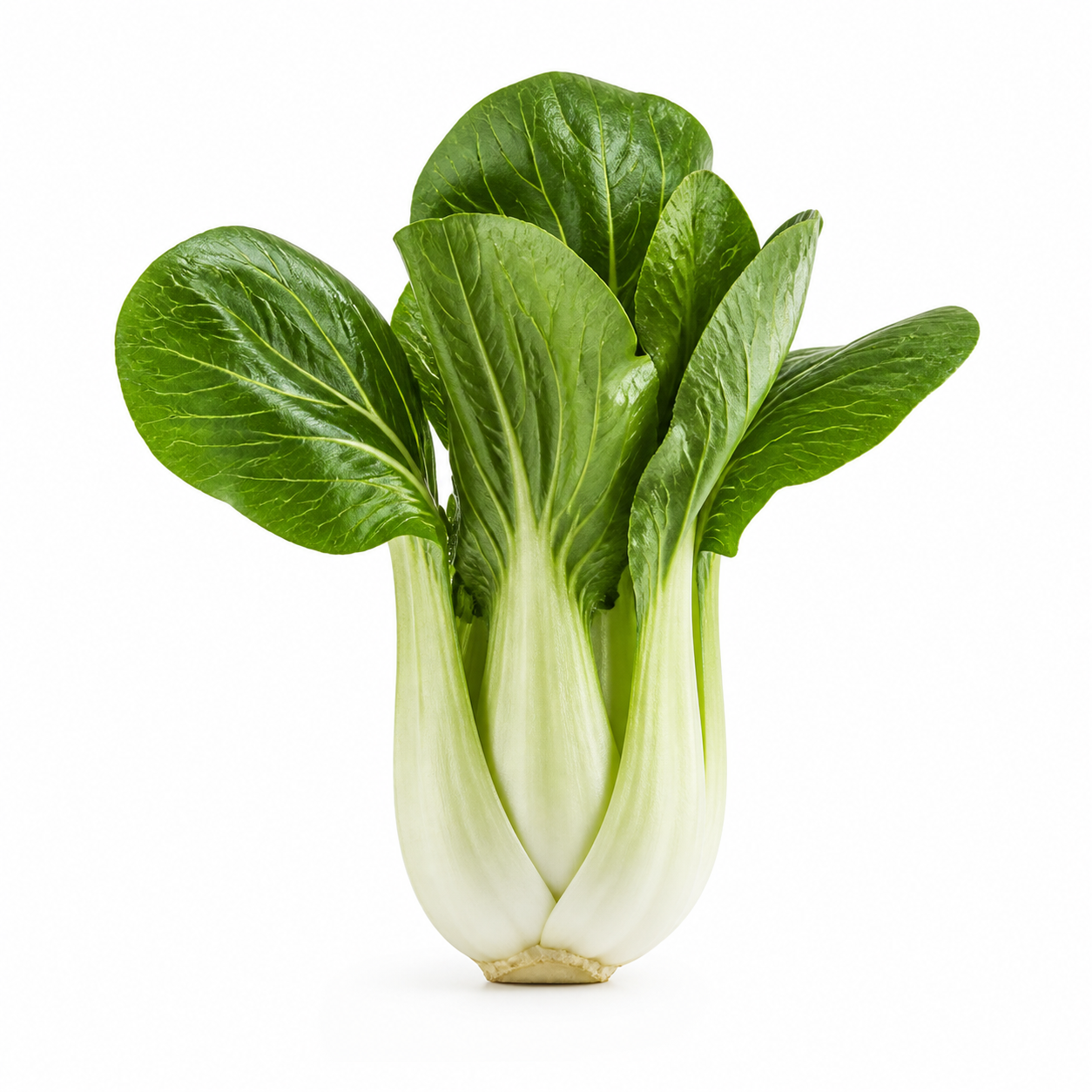 Bok Choy