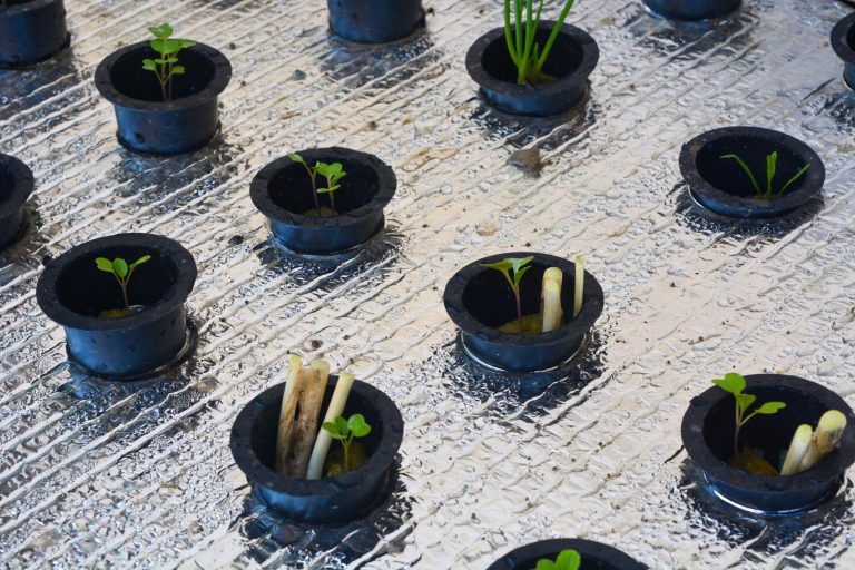How Much Maintenance Does a Smart Garden Need?