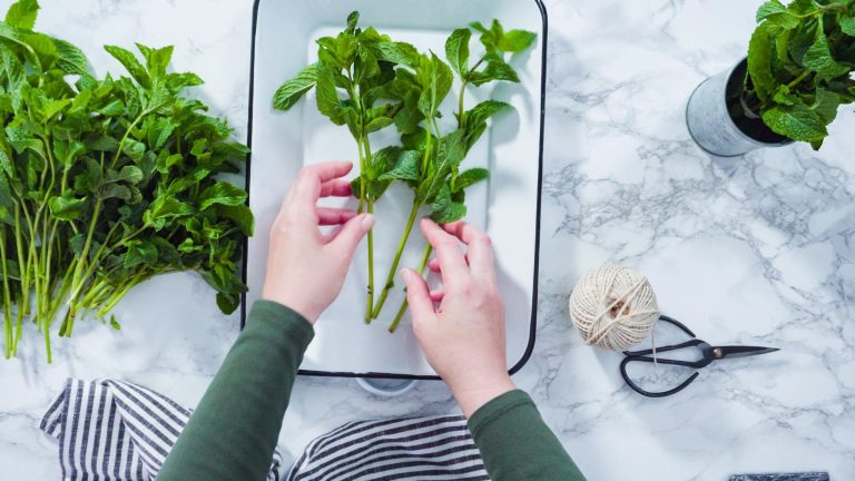 What Is a Smart Garden and How It Works