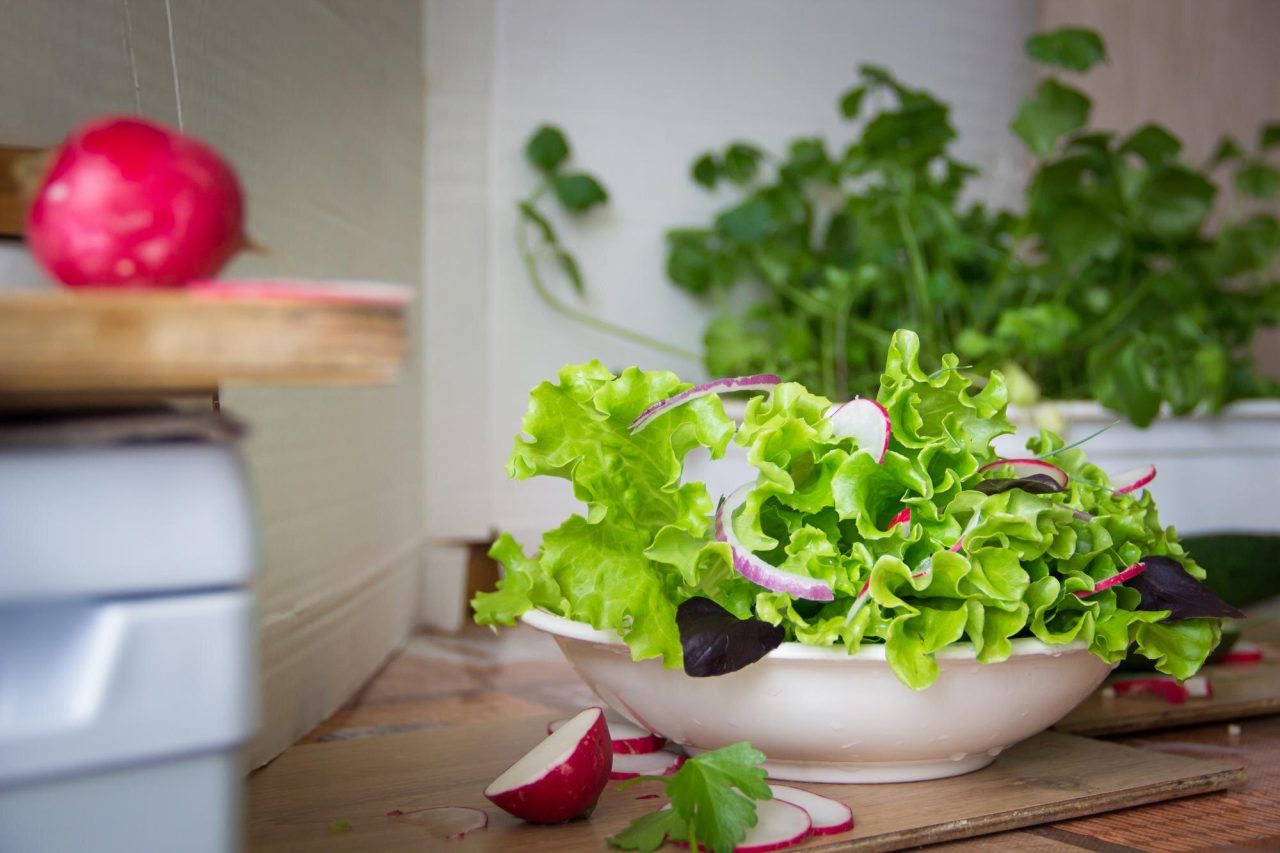 What to Plant First in an Indoor Garden: A Simple Crop Plan for Herbs, Greens, and Small Harvests