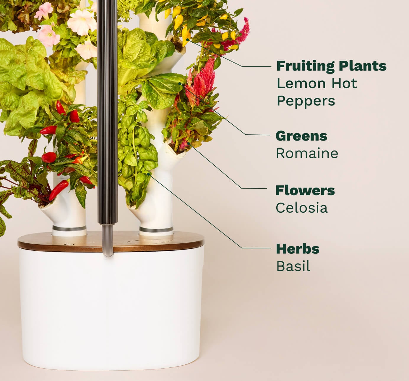 Gardyn Studio 2 growing herbs greens flowers and fruiting plants