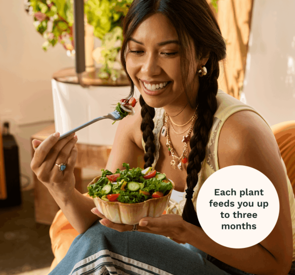 Harvest lightly and often