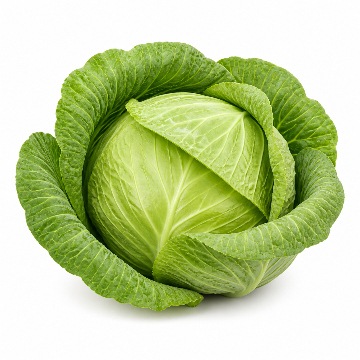 Green Cabbage