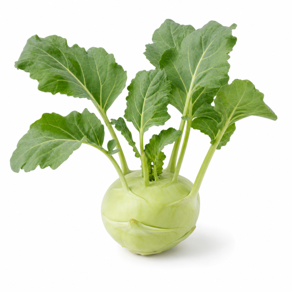 Kohlrabi