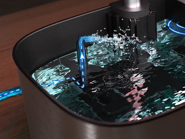 Fill and connect water