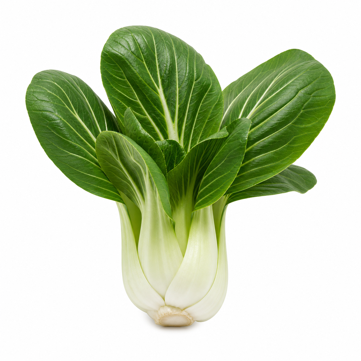 Pak Choi