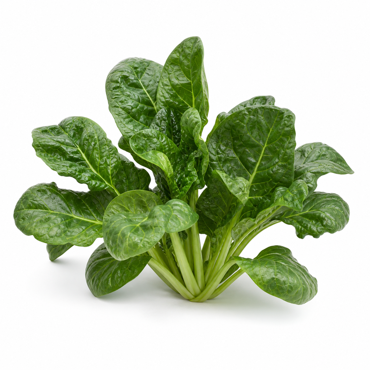 Perpetual Spinach