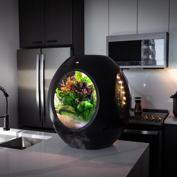 Plantaform Smart Indoor Garden Indoor Smart Garden System Image