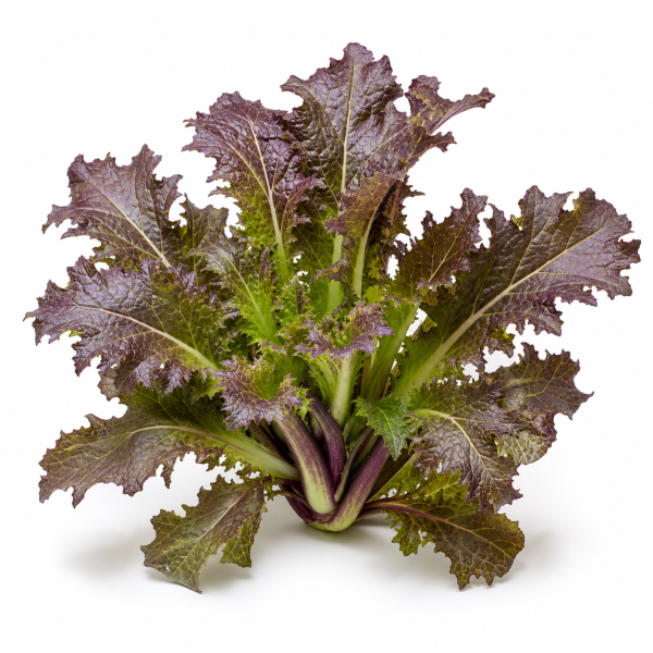 Red Mustard