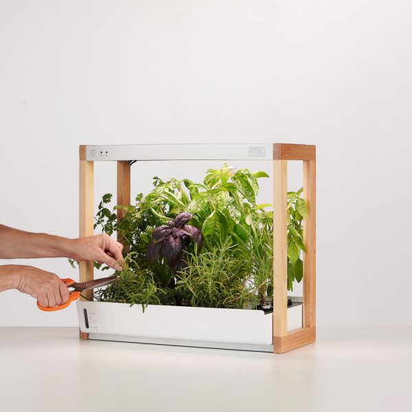 Place the garden