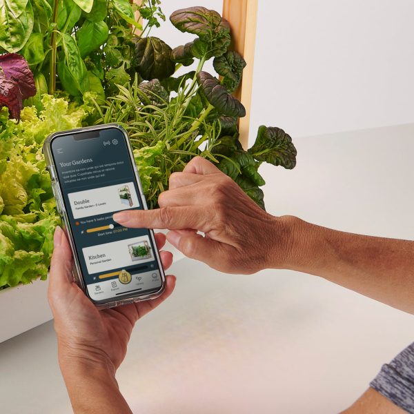 Connect the app