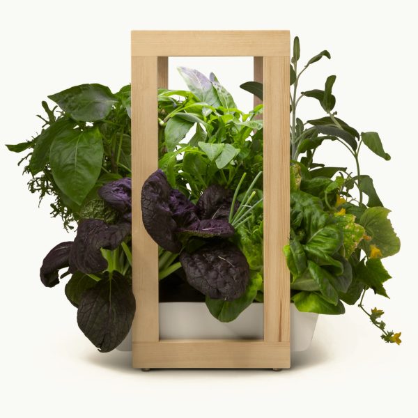 Personal Rise Garden Indoor Smart Garden System Image