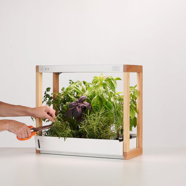 Start with easy crops