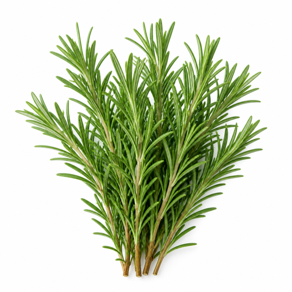 Rosemary