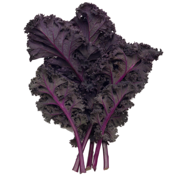 Scarlet Kale