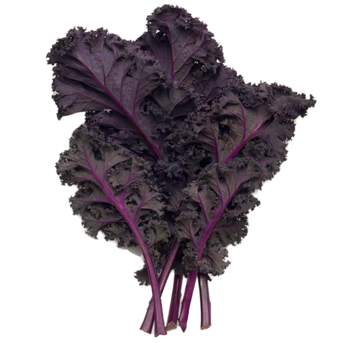 Scarlet Kale