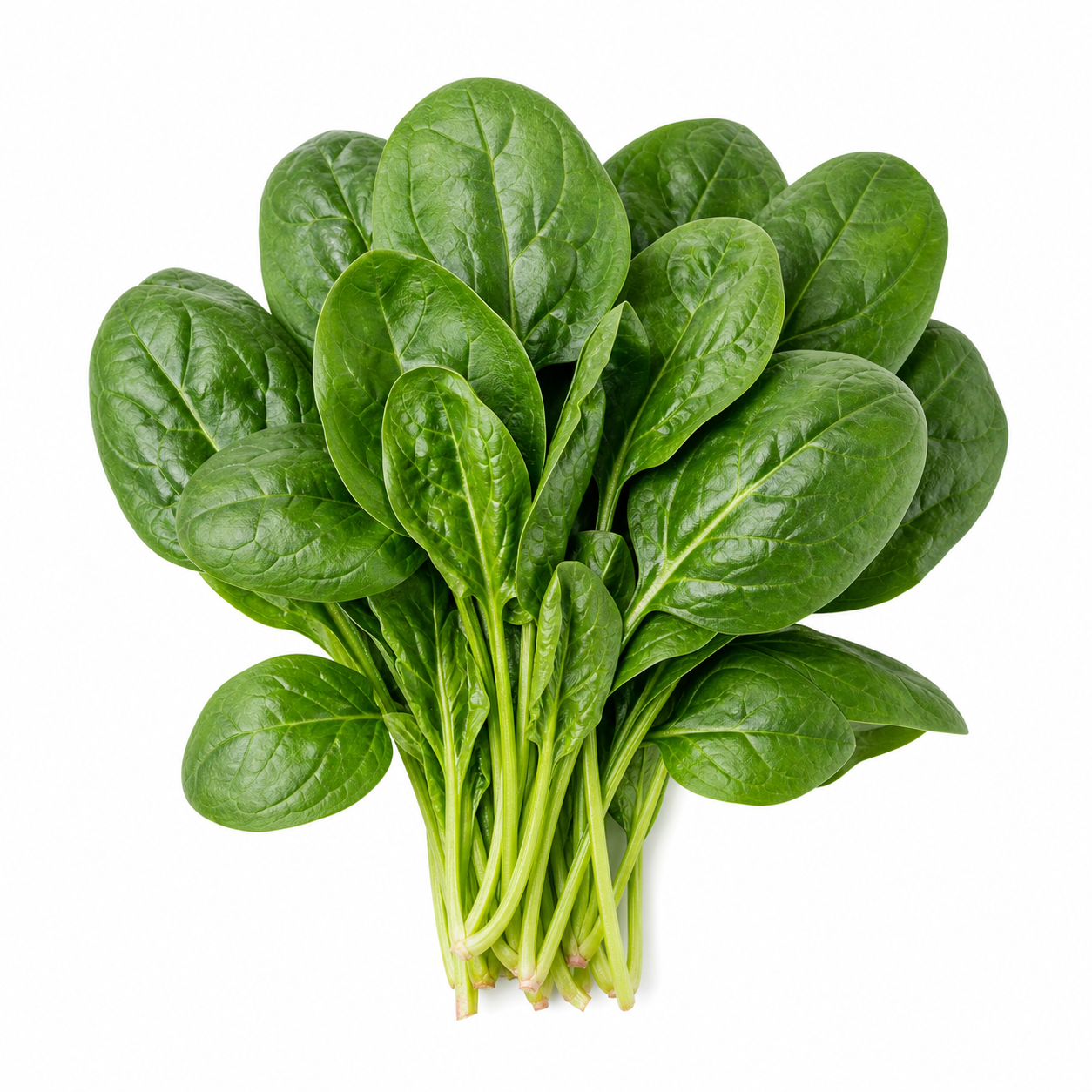 Spinach