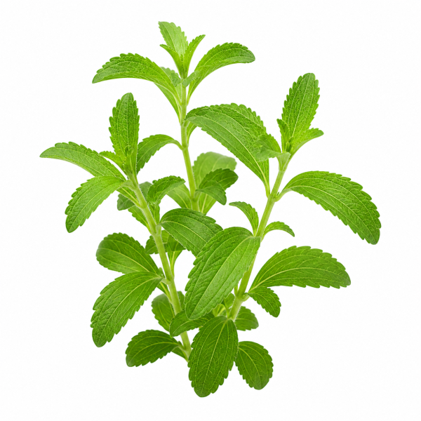 Stevia