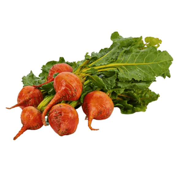 Touchstone Gold Beet
