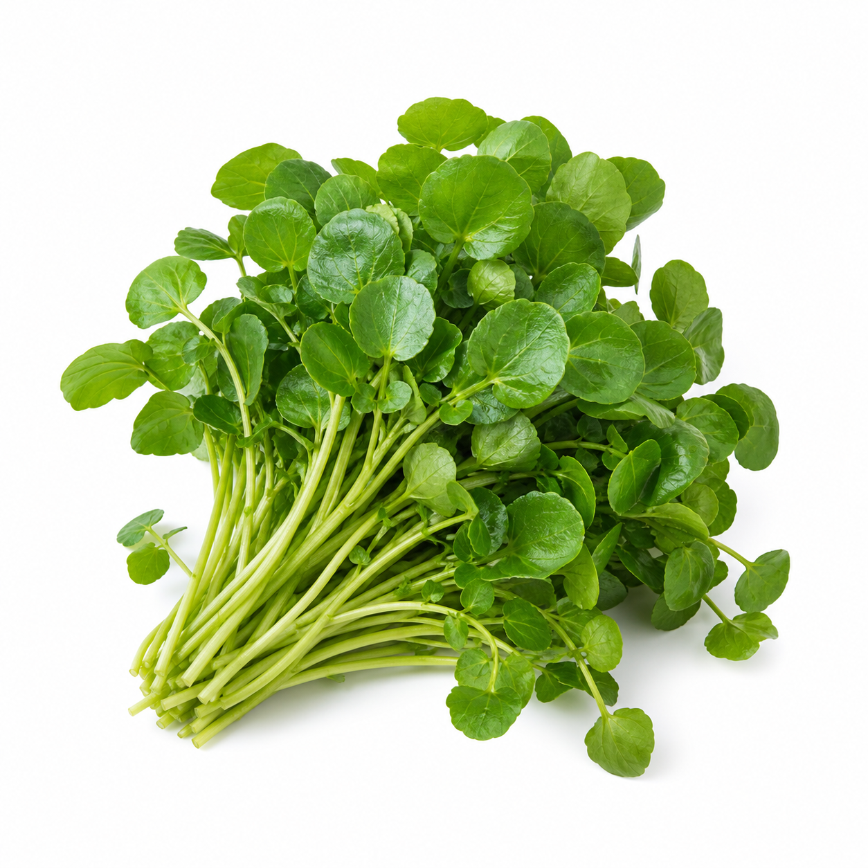 Watercress