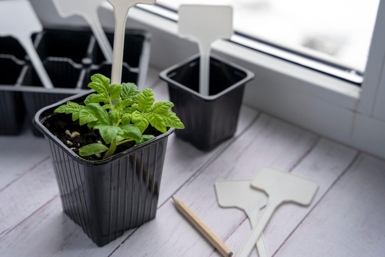 Indoor Garden Reviews That Help You Choose