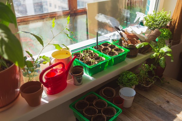 Indoor Smart Garden Buying Guide for Beginners