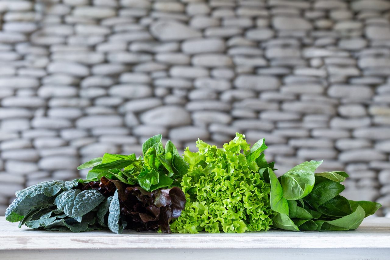 7 Best Indoor Gardens for Leafy Greens at Home