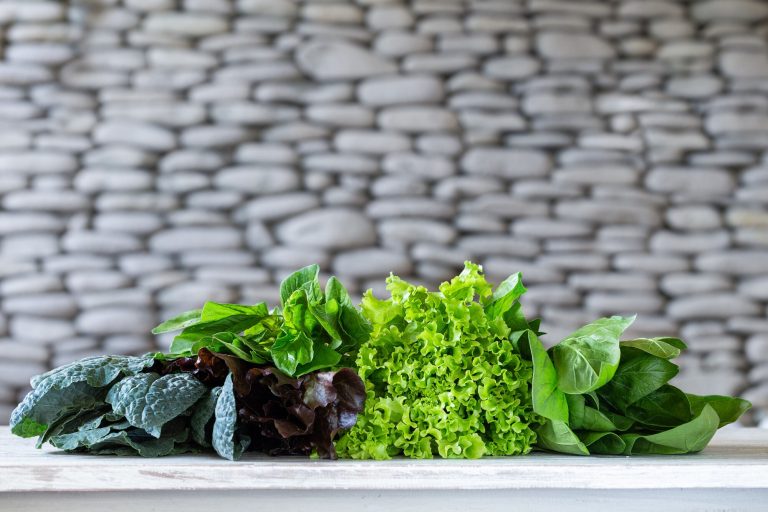 7 Best Indoor Gardens for Leafy Greens at Home