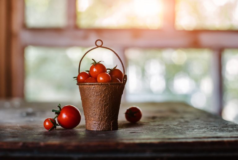 7 Best Indoor Gardens for Tomatoes