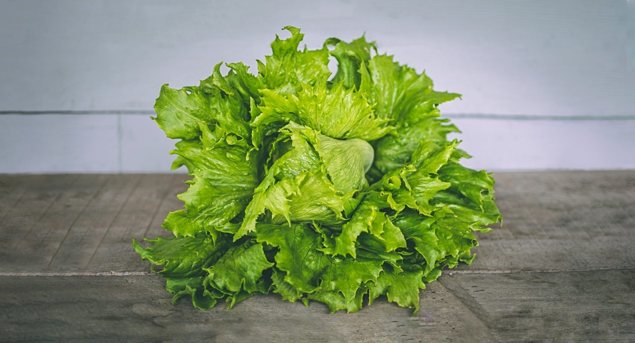Close-up photo of lettuce on a gray surface. Photo: Jef Wright / Unsplash.